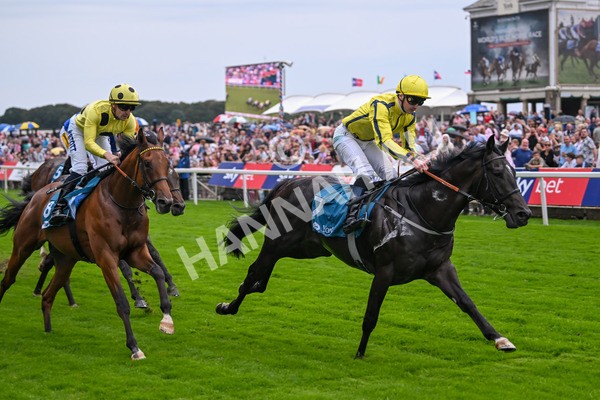 080925-Race 1-Proud Nation-7182 - Race 1 2.30pm Enter ITV7 For Free Confined EBF Maiden Stakes