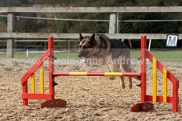  - Greenstead Green Farm Shop Animal Open Day