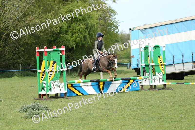 20260426-1698 - Class 14 - Novice 60cm