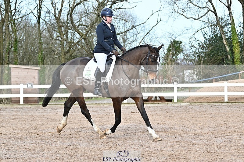 250125-131914-00606 - Dressage - CT Class 6 BE102