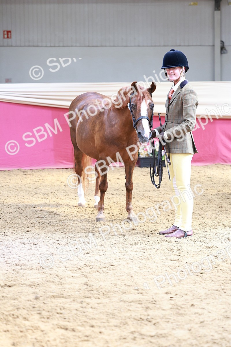 SBM_17572 - Class 951 - M&M IH Supreme Final