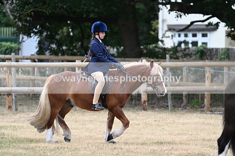 WJ7_0430 - Class 2 Best rider