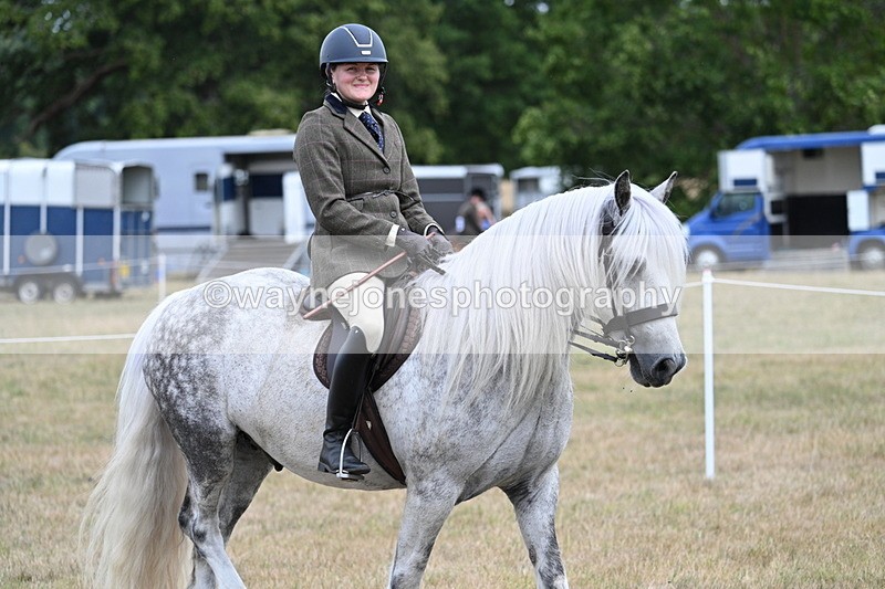 WJ7_5449 - Class 12 Ridden Cob