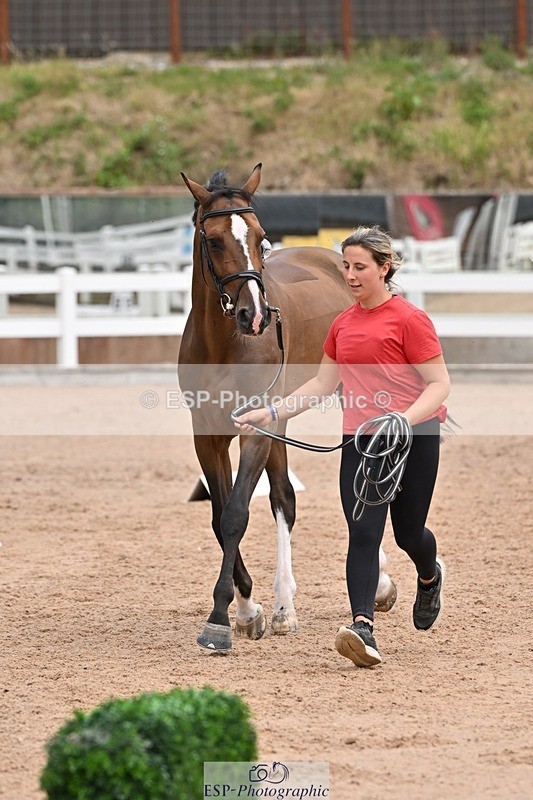 250716-142813-01103 - Trot Up 1.30 to 2.30