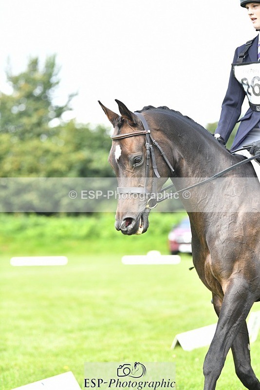 230826-103641-15530 - Sections C & D 10 to End