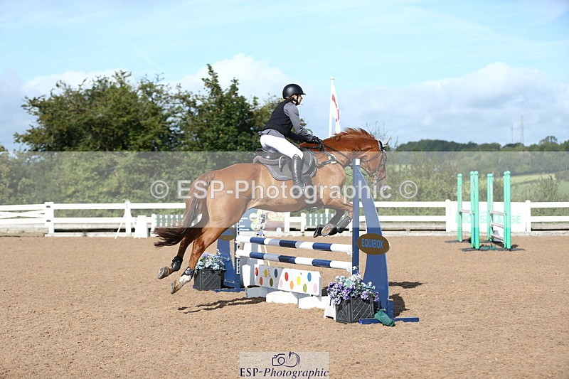 230811A-093900-02908 - Cls 13 A&B Snr Brit Nov & 90cm Open