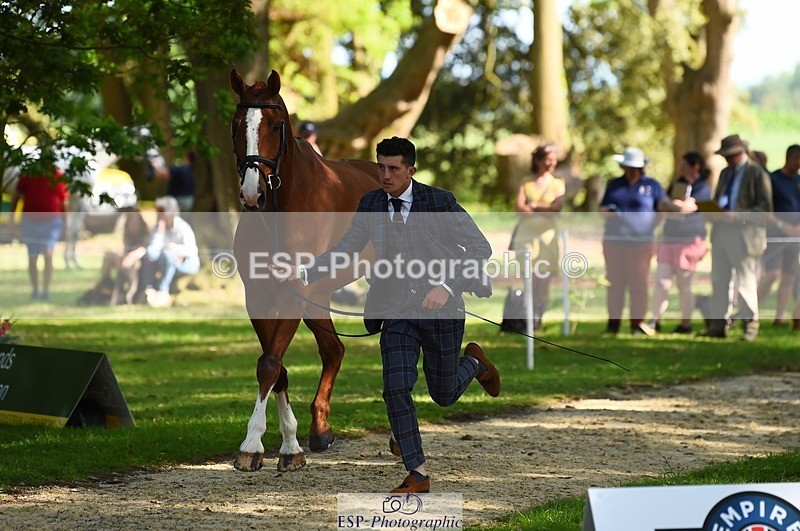230524-170326-01255 - 131-FORTSIDE_COBRA-Freddie_Carden-WEDTrotUp+DR