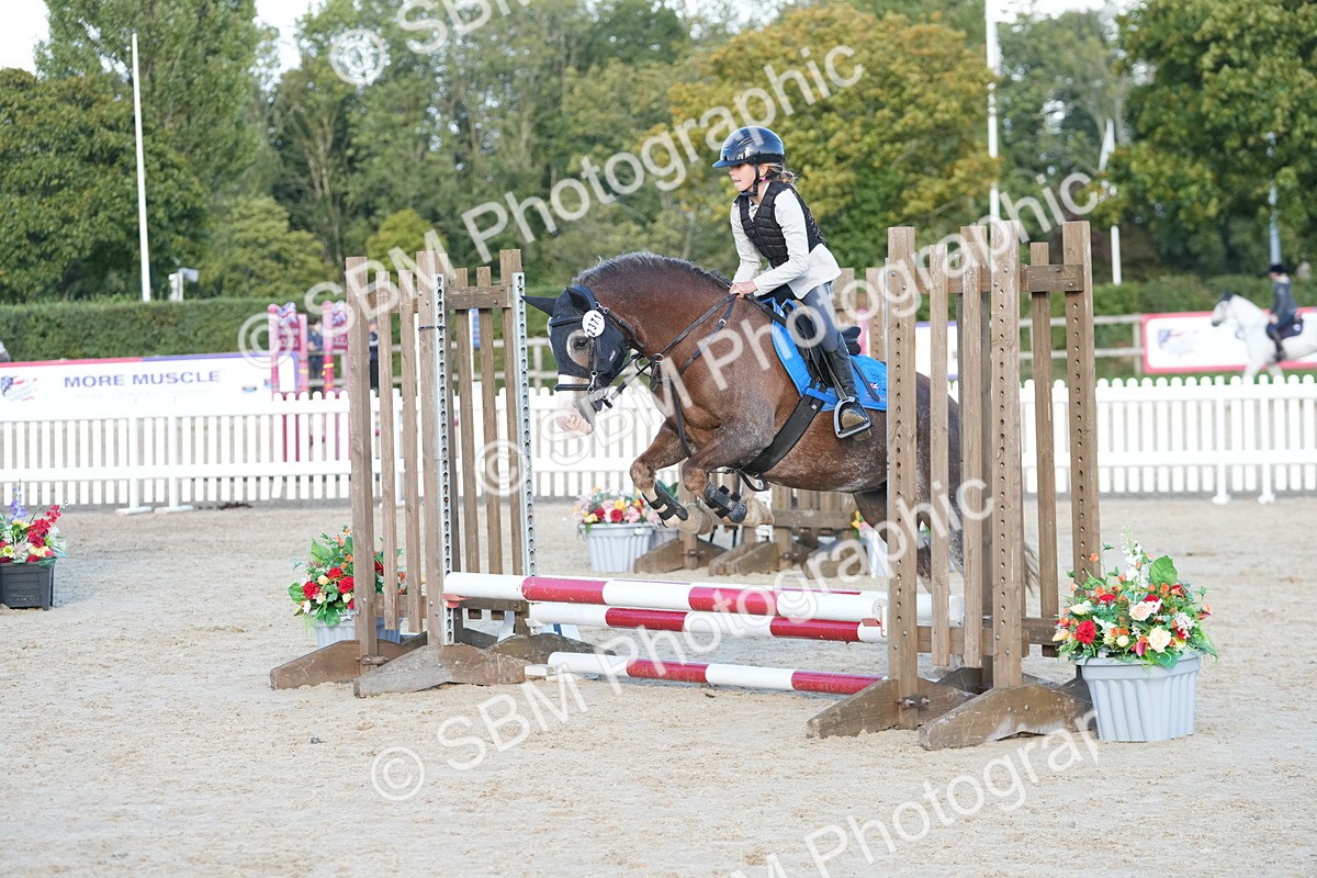 SBM_29047 - J43 - Horse & Hound Open 50cm