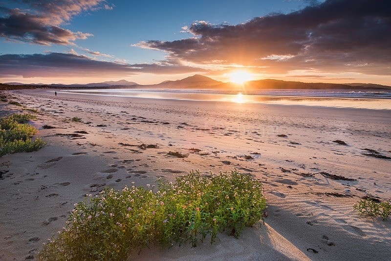 DSC_2552 - Downings & Beaches