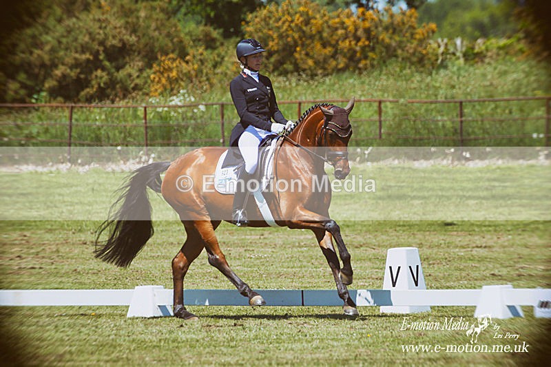 Houghton 240519 505atoy - Equestrian
