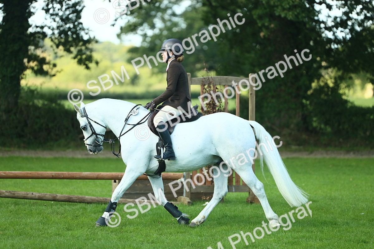 SBM_39237 - S29 - Novice & Newcomers Working Hunter Pony