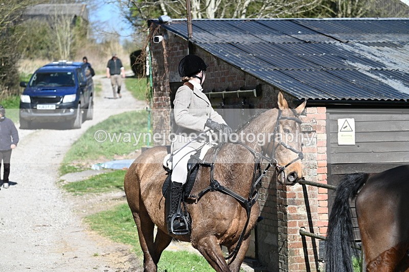 WJ7_9772 - Home for hunt tea !