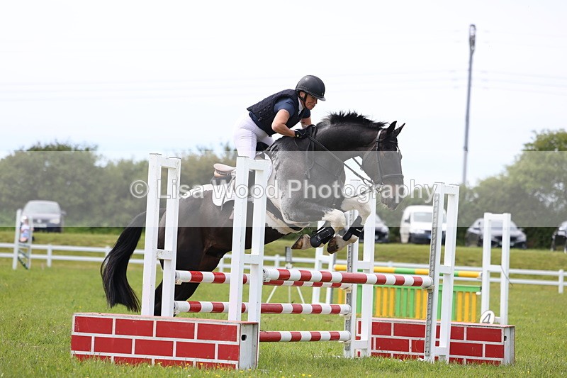 3E7A1543 - Class 13: Senior British Novice/90cm open