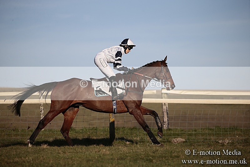 PtP 240218 668 - Vine & Craven Hunt Point-to-Point Barbury racecourse 24/02/18