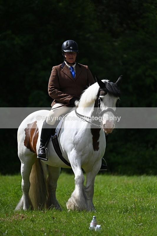 WJ7_1342 - Class 11 Condition & Turnout