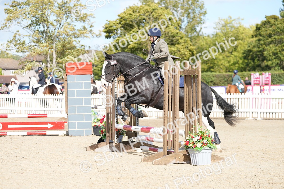 SBM_23789 - J50 - Open 60cm