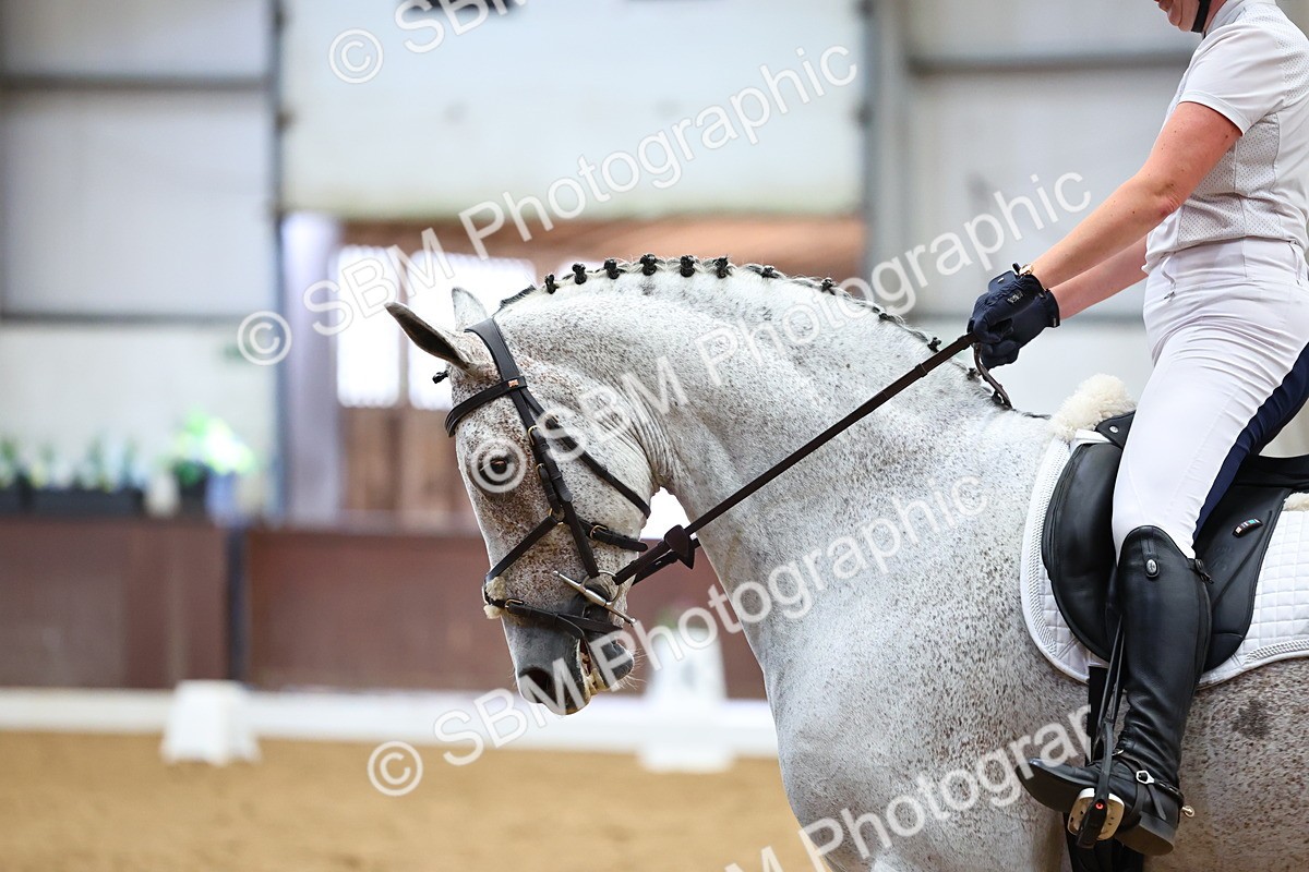 SBM_005494 - Elementary 2