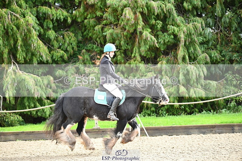 251004A-121825-00983 - Classes 4 & 5 50cm