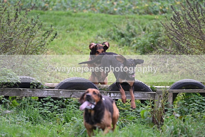 WJ7_8936 - Camera 1 only on this line