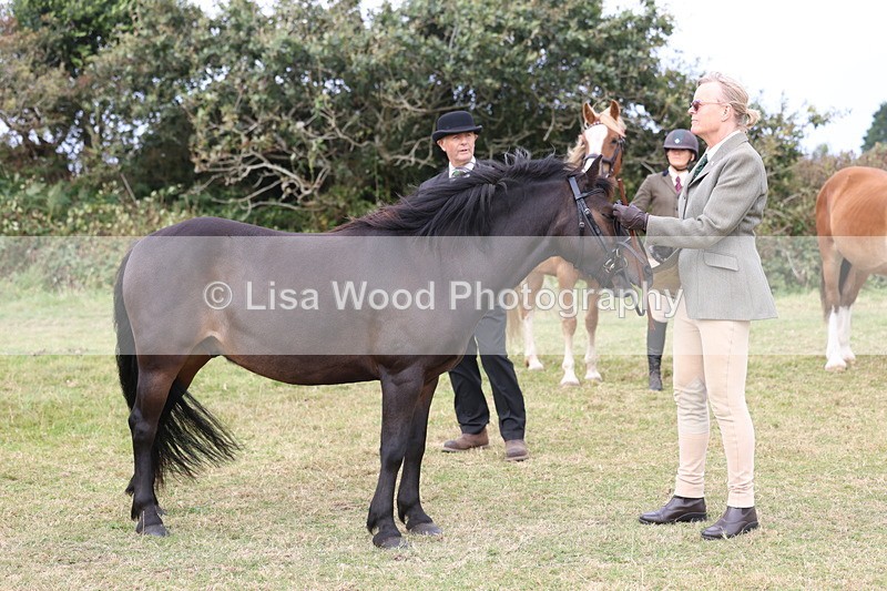 3E7A4650 - Class 16: Best Grass Kept