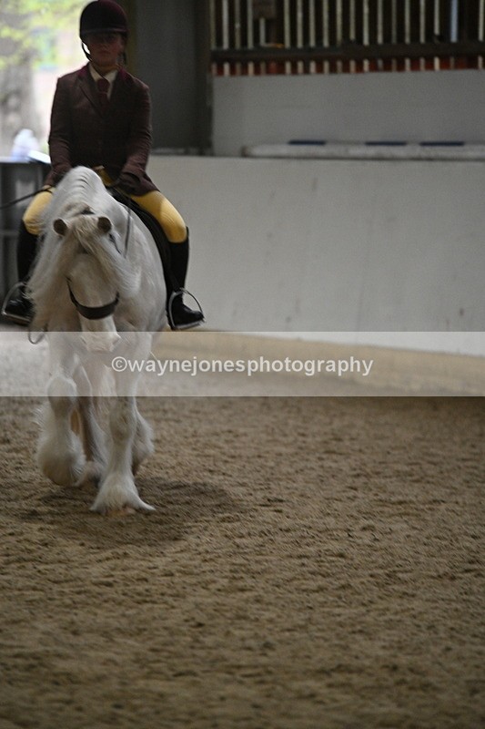 WJ7_4177 - Class 17 Ridden Cob