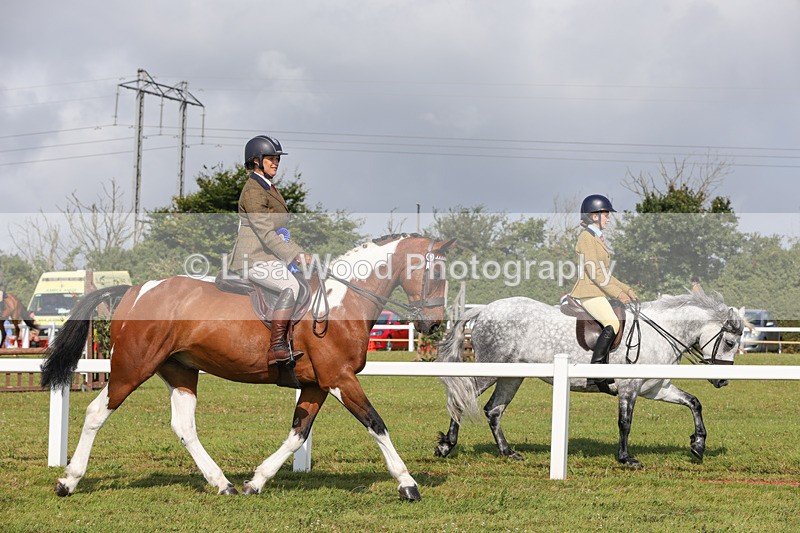 1X9A3457 - Skewbald and Piebald Ridden Championship