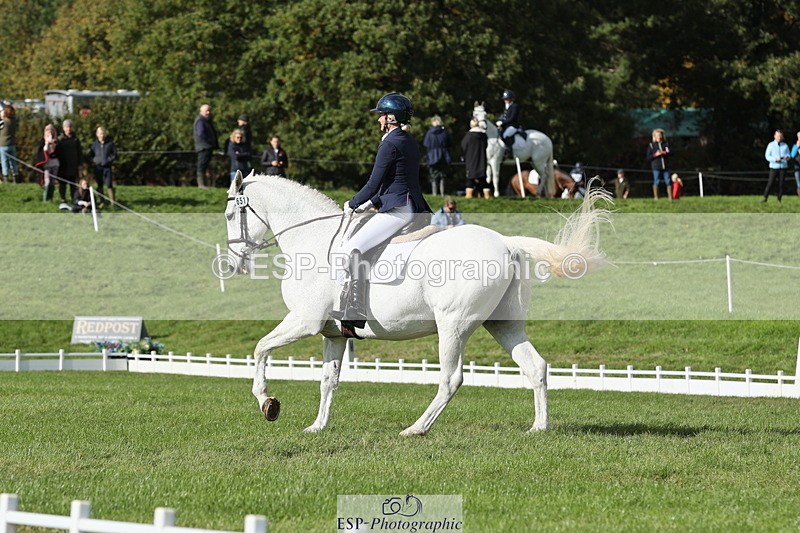 251024A-133211-12598 - H-651-Victoria.Tar