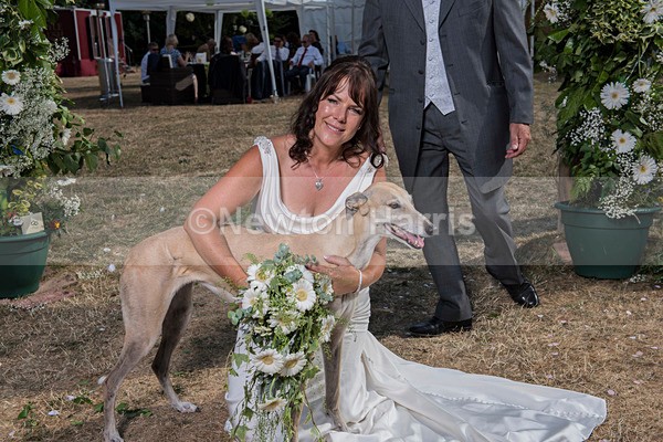 NMH-739 - Sonja and Steve's Wedding 21/7/2018