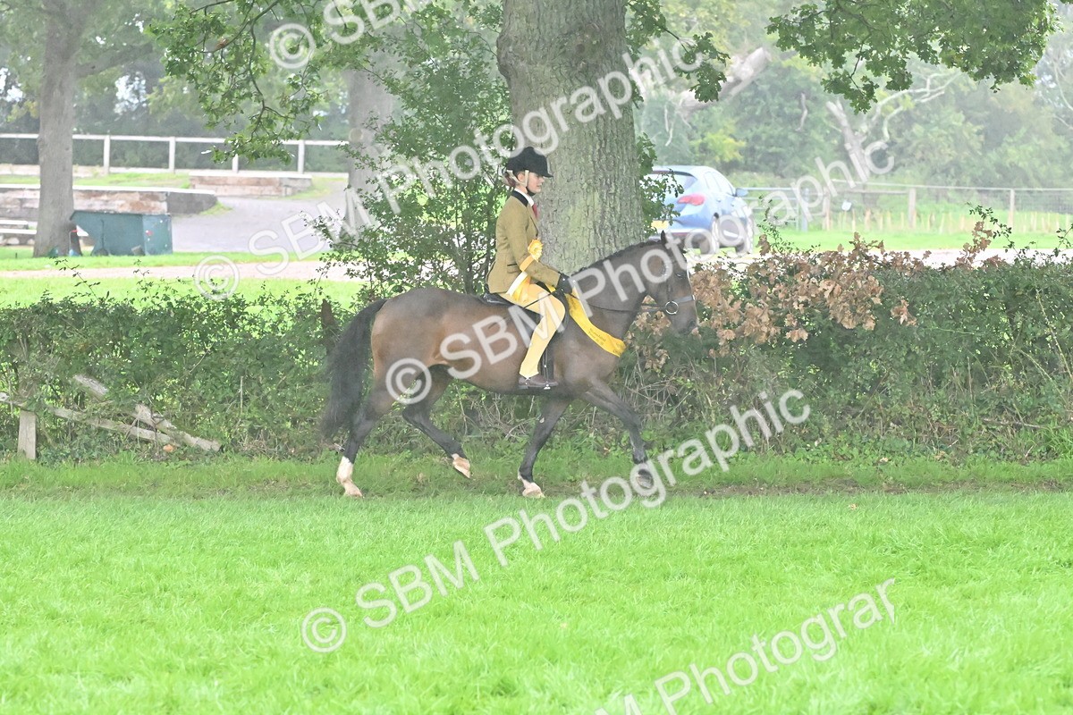 SBM_72632 - S43 - Ridden Equitation Best Rider