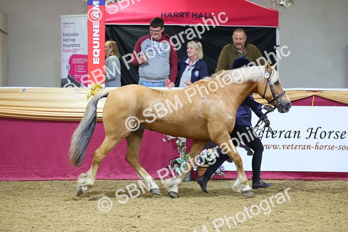 SBM_19603 - Class 901 - Supreme Final - IH Diamond