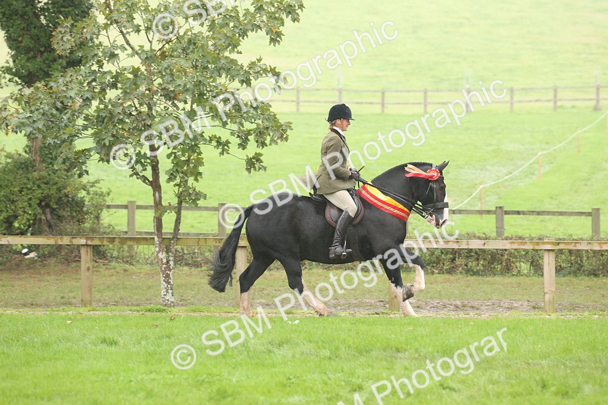 SBM_72957 - Ridden Horse Supreme Championship