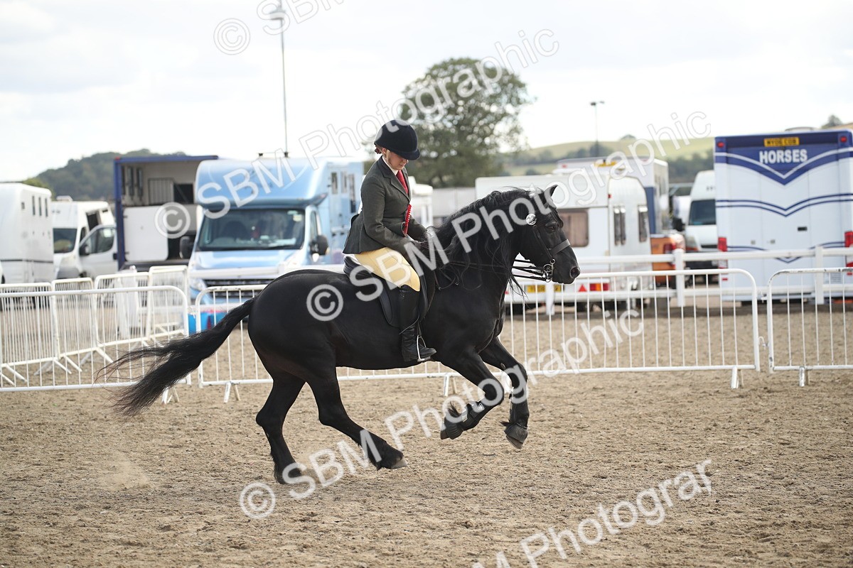 SBM_15198 - Class 505b - M&M Working Veteran - 50cm (20+)