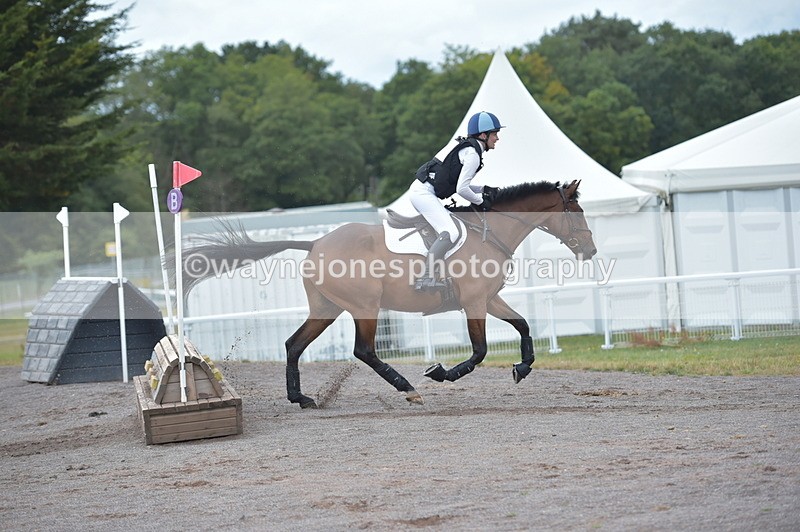 NGP_2918 - XC Time 11:37 to 11:57