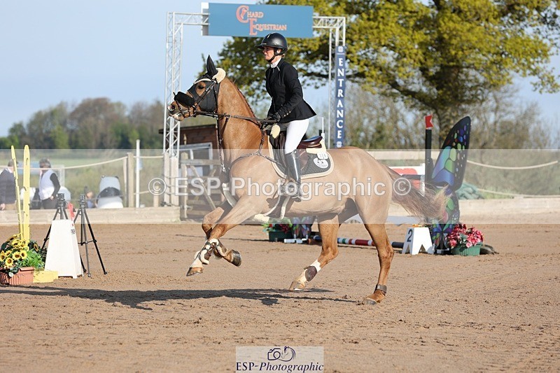 250427-083312-14524 - Cls 28 Young Horse 5yr old