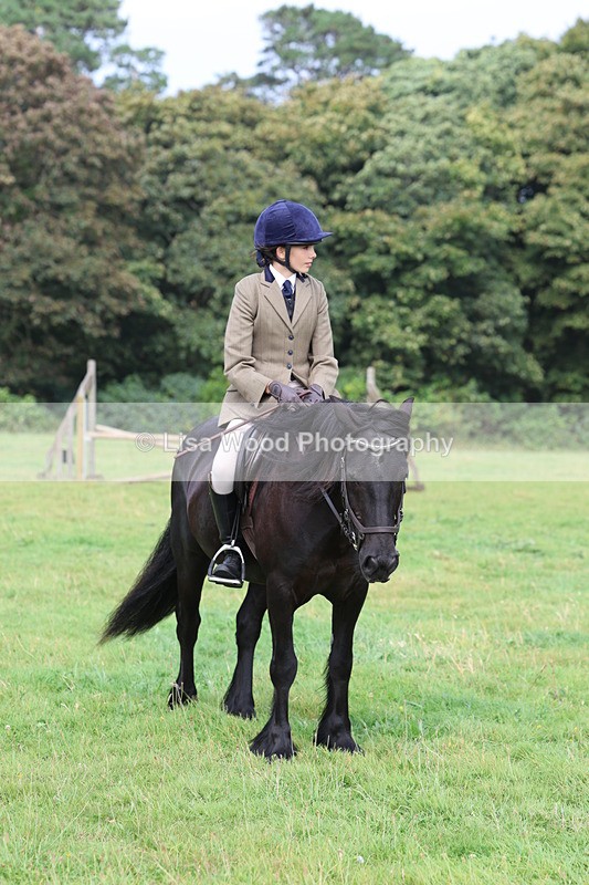 3E7A5898 - Class 26 and 27: 70cm Working Hunter