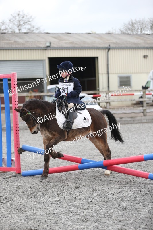 20260412-0171 - Show Jumping
