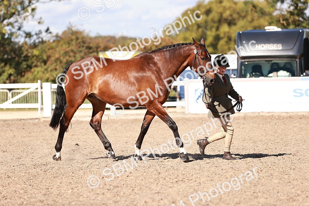 SBM_13294 - class 406 - IH Hunter