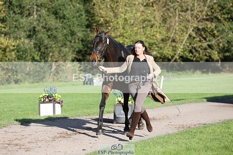 241027-095127-15537 - 444-Tatiana.Wharton-NO.TOMMY.NO