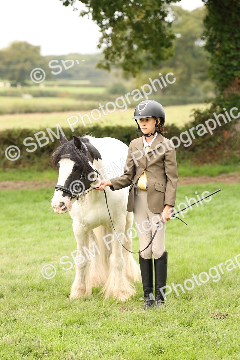 SBM_59311 - S57 - Traditional Cob In Hand