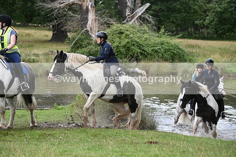 WJ7_3017 - Time at Water 11:37 to 12:13