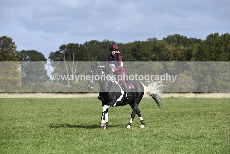 _DSC5648 - Time 10:49 to 11:23