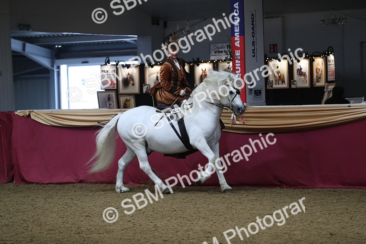 SBM_11537 - Class 105 Ridden Costume- Side Saddle
