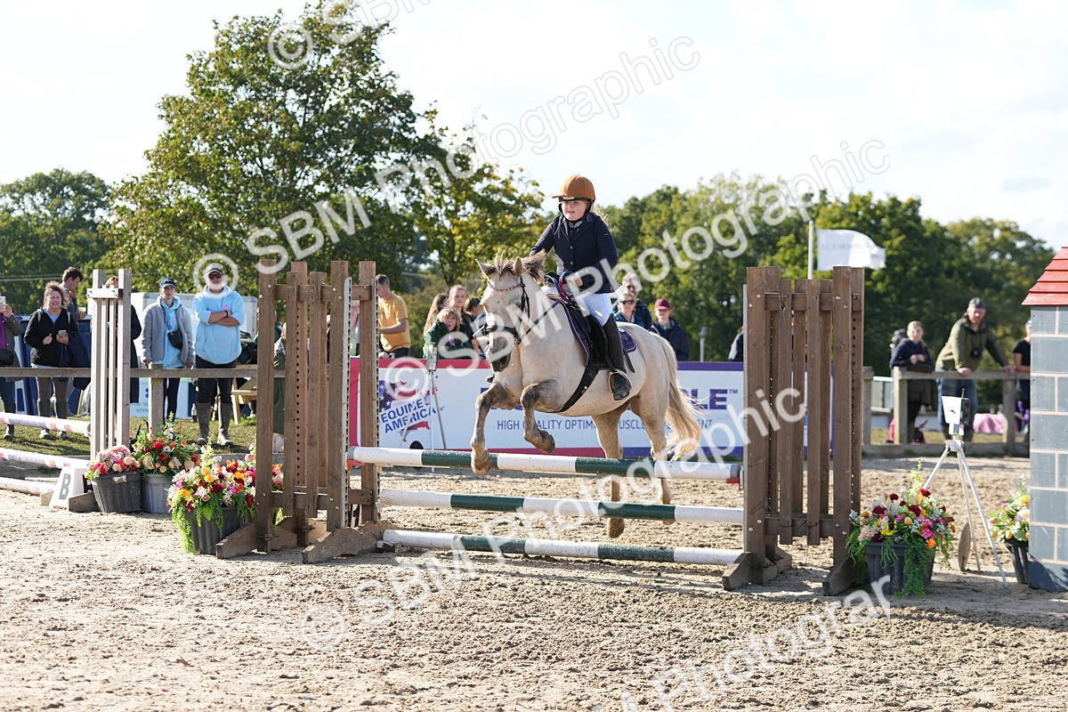 SBM_49358 - J8 - Junior Pony 65cm Championship