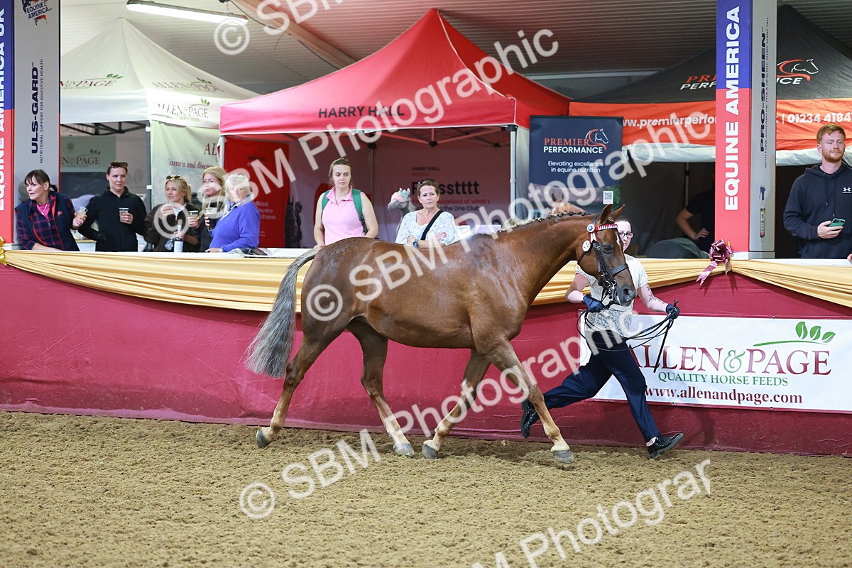 SBM_14730 - Class C - Novelty champ
