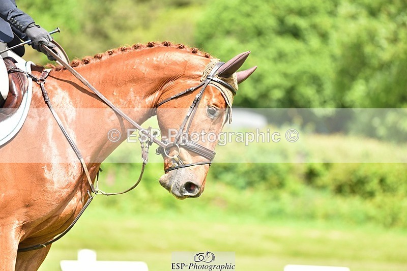 240523B-114714-02075 - 5 Year Old