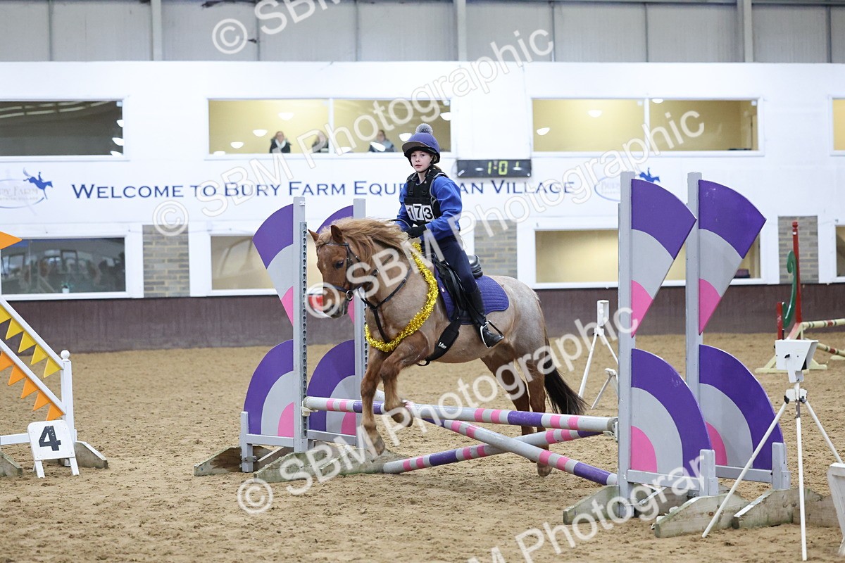 SBM_001077 - Class 3 - Christmas Tree Stakes - 60cm