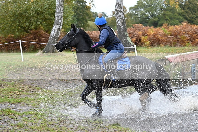 WJ7_2404 - 80cm Cam 2 Pairs Time 12:18 to 12:43