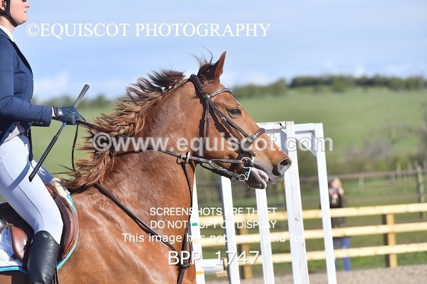 BPP_1747 - CLASS 18 SUN Senior Newcomers/ 1.10m Open