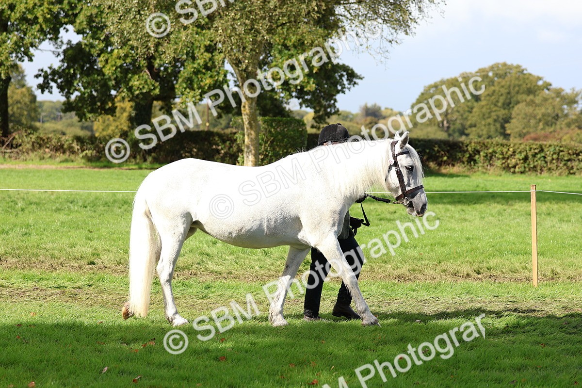 SBM_39395 - S24 - Young Veteran In Hand
