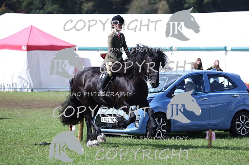 APP_3538 - Class 12 M&M ridden